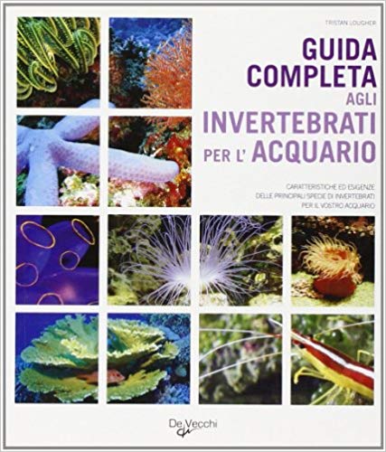 Guida completa invertebrati